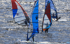 「青い海」ウインドサーフィン・フラワー