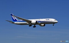 「良い空～」ANA 787-9 JA872A 着陸