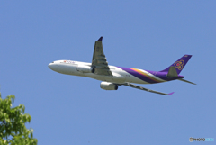 [青い空] Thai A330-343 HS-TBA 飛び立ちです