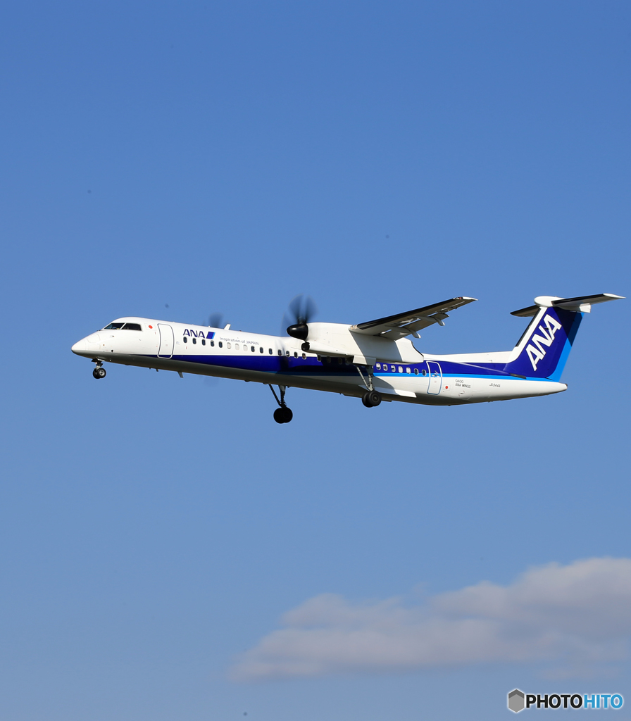 「群青」 ANA DHC-8-400 JA844A Landing