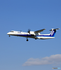 「群青」 ANA DHC-8-400 JA844A Landing