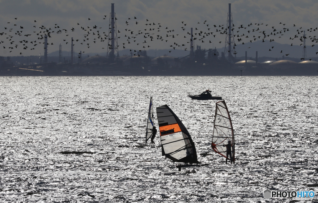 「初光」~~~ 渡り鳥とのコラボ ~~~
