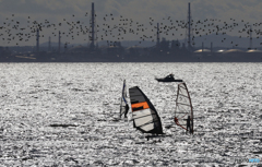 「初光」~~~ 渡り鳥とのコラボ ~~~