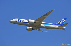 「スカイ」 ANA 787-8 JA820A Takeoff