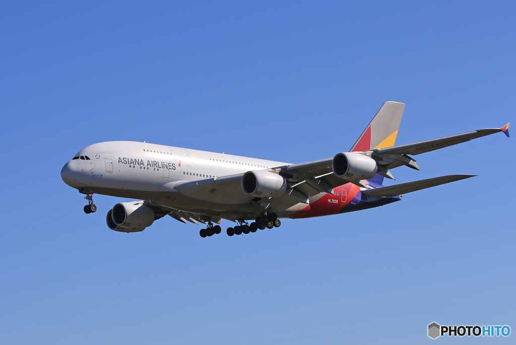 ☀「あおぞら」ASIANA A380-841 HL7626 着陸