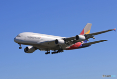 ☀「あおぞら」ASIANA A380-841 HL7626 着陸