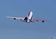 「すかい」エア ブリッジ カーゴ 747-8F VQ-BRH  Takeoff