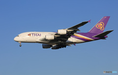 「青色」 Thai A380-841 HS-TUF 到着しました