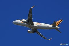「ぶるー」tigerair A320-232 B-50006  飛び立ち