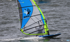 「晴れ」風はともだちなんだね