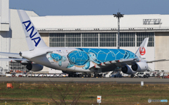 「青い日」ANA A380 Honu JA382A 準備中です