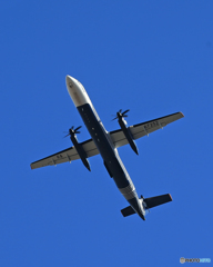 「真青の空」 Aurora DHC-8-400 RA67252 飛ぶ