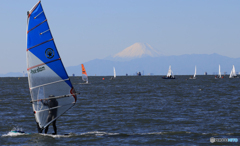 「すかい」Youも観に来ないかぁ〜
