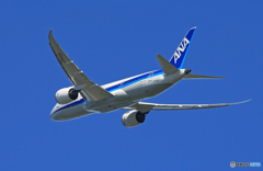 「群青色」ANA 787-8 JA802A Takeoff