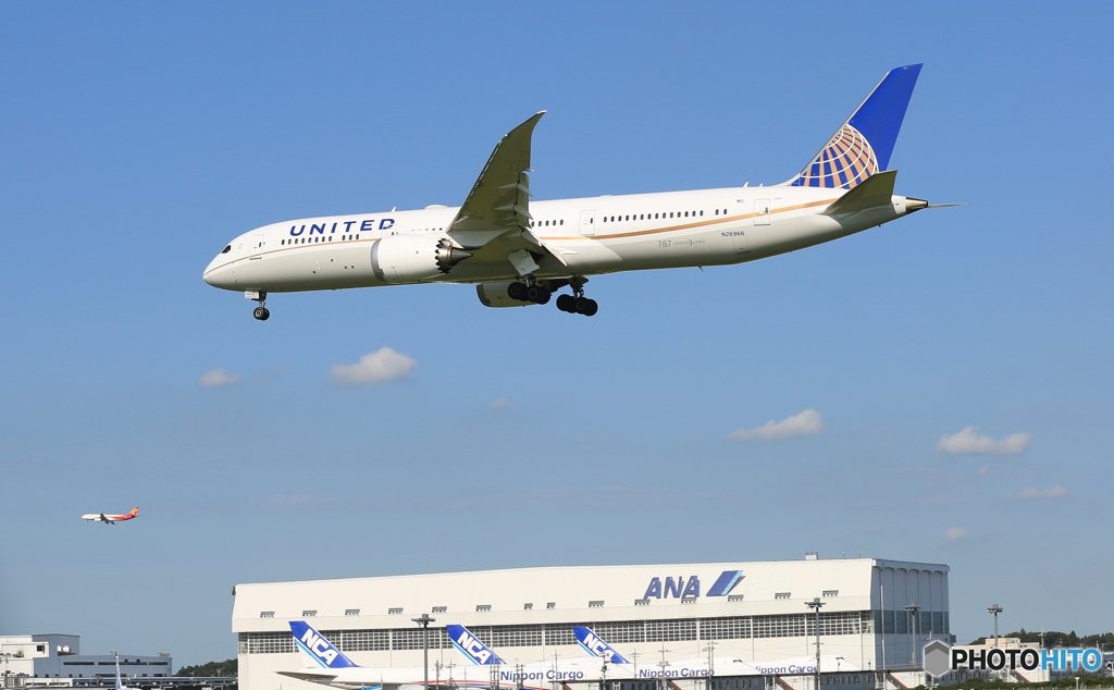 「青色が好き」 UNITED 787-9 N26966