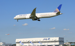 「青色が好き」 UNITED 787-9 N26966
