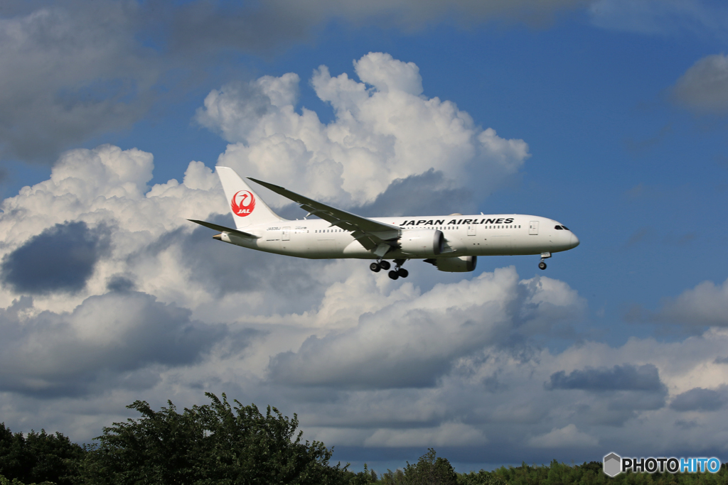 「青い空」が一番 JAL 787-8 JA836J 到着