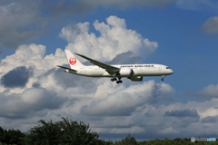 「青い空」が一番 JAL 787-8 JA836J 到着