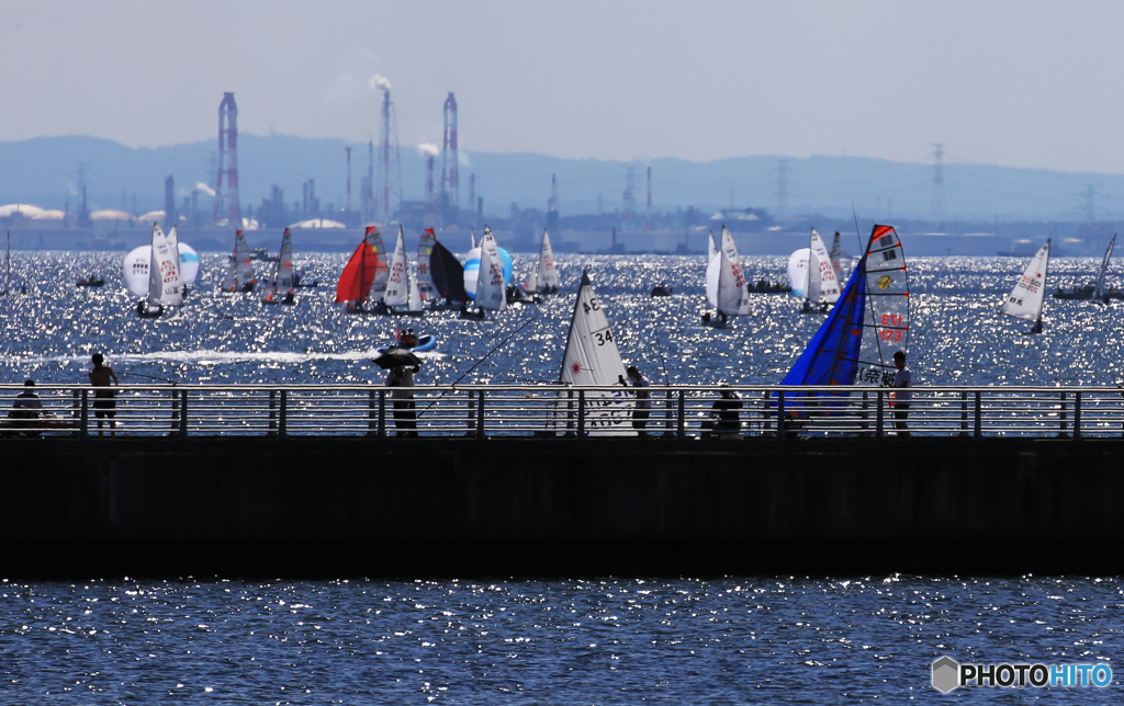 「青い海」  整然と進む・大会セーリング