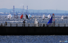 「青い海」  整然と進む・大会セーリング