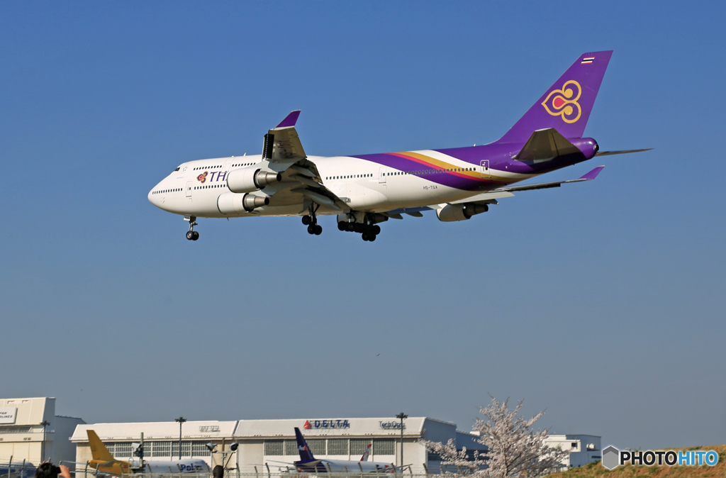 「良い天気」 桜も入れました✈Thai✈ジャンボ機です
