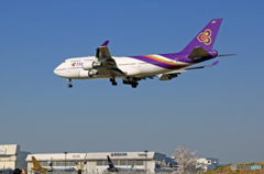 「良い天気」 桜も入れました✈Thai✈ジャンボ機です