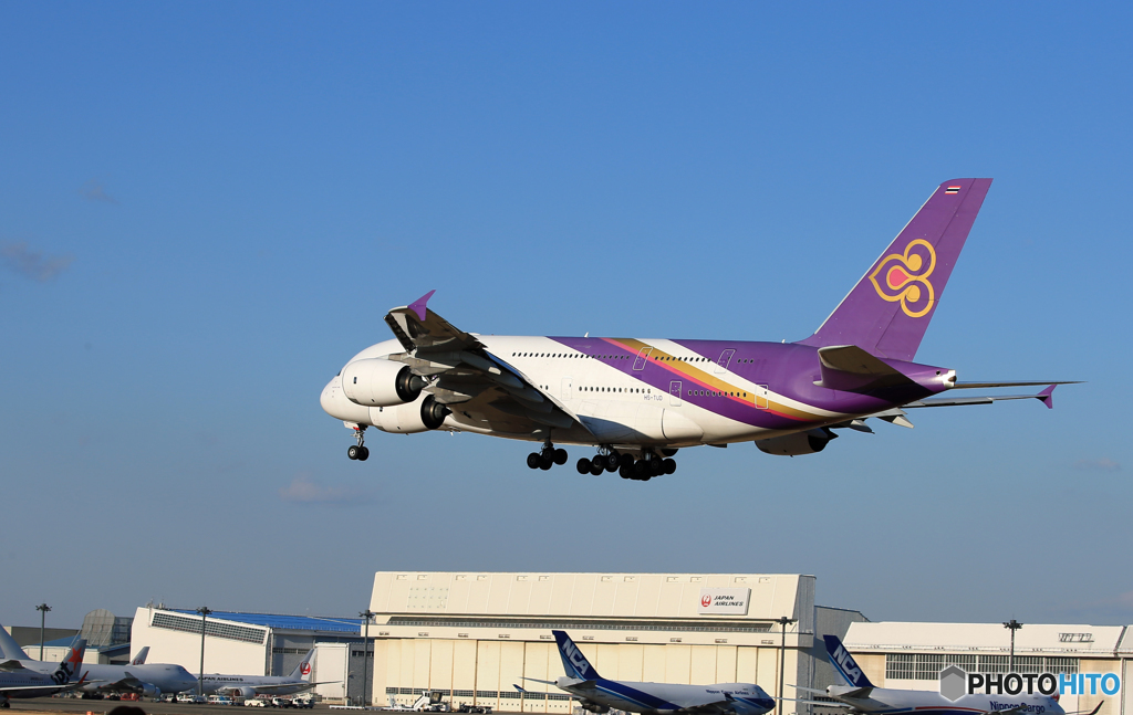 「あおぞら」Thai A380-841 HS-TUD空港・風景