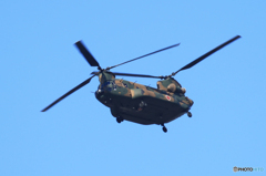 「すかい」チヌーク　CHー４７　訓練中☮