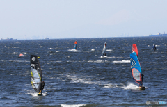 「ぶるー」疾走・ウインドサーフィン