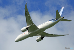 「SKY」 Aeromxico 787-8 N782AM 離陸