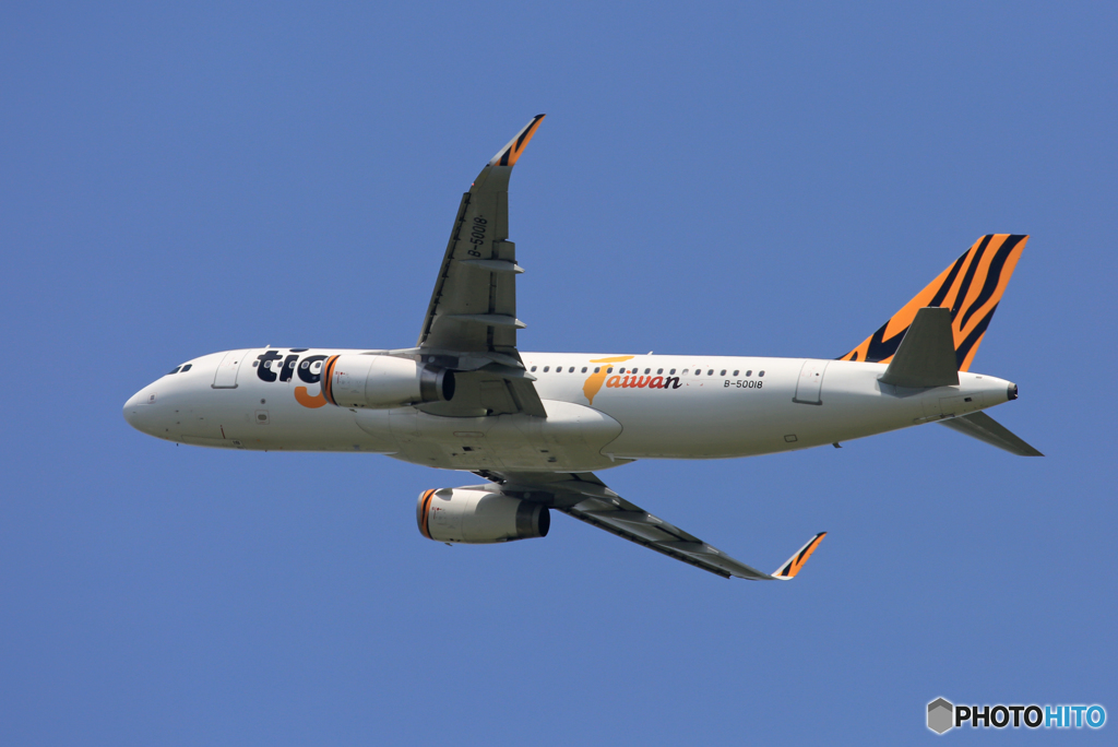 「青が好き」 tigerair A320-214 B-50018 出発