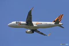 「青が好き」 tigerair A320-214 B-50018 出発