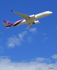 「すかい」 THAI A350-941 HS-THG Takeoff 