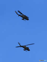 「群青色」☮コブラが　飛んでいる☮