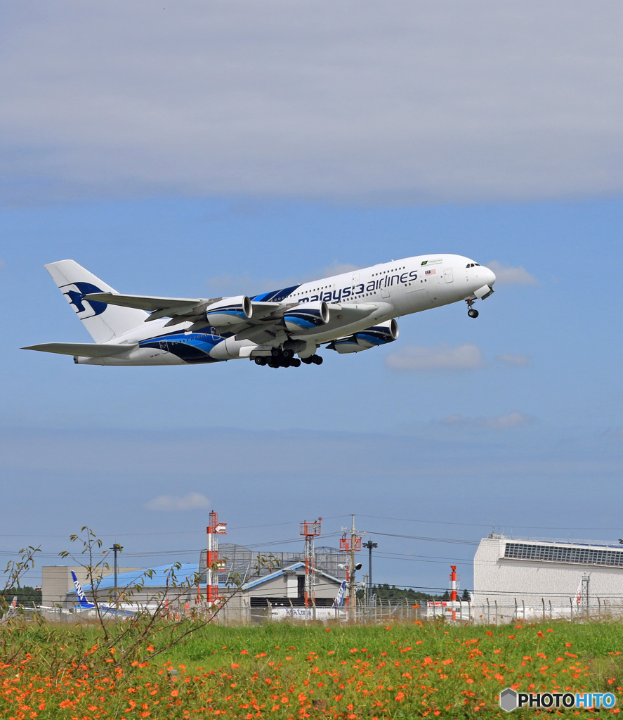 「青が大好き」Malaysia A380-941 9M-MNE 飛ぶ