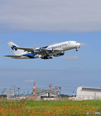 「青が大好き」Malaysia A380-941 9M-MNE 飛ぶ