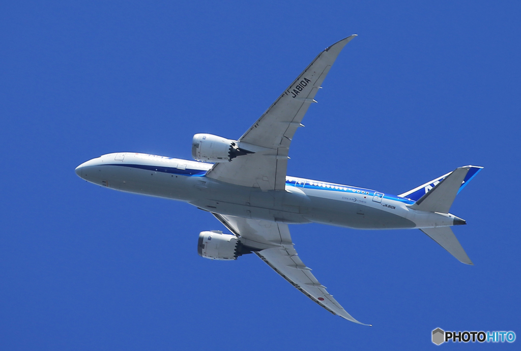 「スカイ」ANA 787-8 羽田行き☮