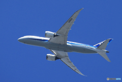 「スカイ」ANA 787-8 羽田行き☮
