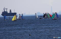 「青い海」大会・ヨットセーリング