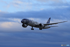 「青色」Star Wars R2-D2 JA873A Landing 