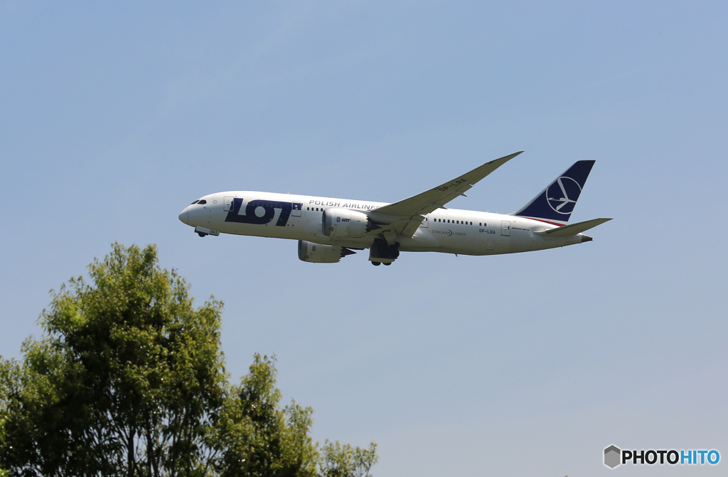 ☀「青い空」が一番 LOT ポーランド787-8