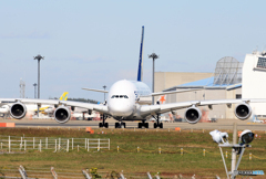 「Blue」Singapore A380-841 9V-SKQ 飛ぶ