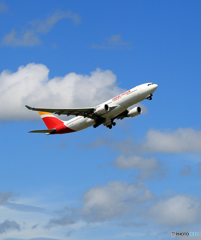 「青が大好き」 IBERIA A330-202 EC-MKI 離陸