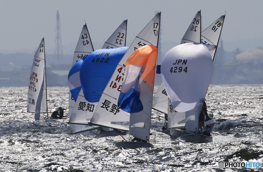「青空」東京湾  いちご一会とちぎ国体 / セーリング