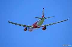 「ぶるー」 Air Asia A330-343 PK-XRC 飛行