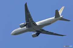 「青色」Aero Logic 777-FZN D-AALA 飛ぶ