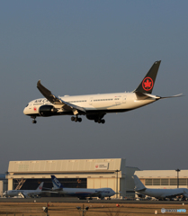 「青い日」 AIR CANADA 787-9 C-FRTN Landing