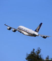 「はれー」Singapore A380-841 9V-SKS  出発です