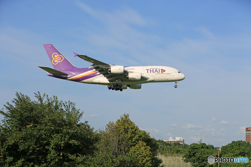「すかい」 Thai A380-841 HS-TUB 着陸