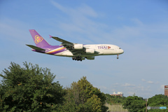 「すかい」 Thai A380-841 HS-TUB 着陸